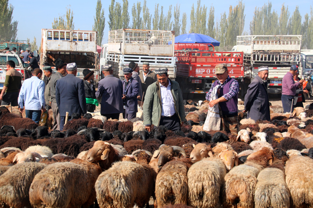 Animal Bazaar Kashgar China