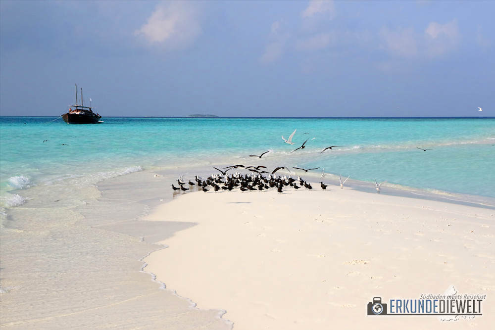 Sandbank-Picknick Malediven Südasien ASIEN