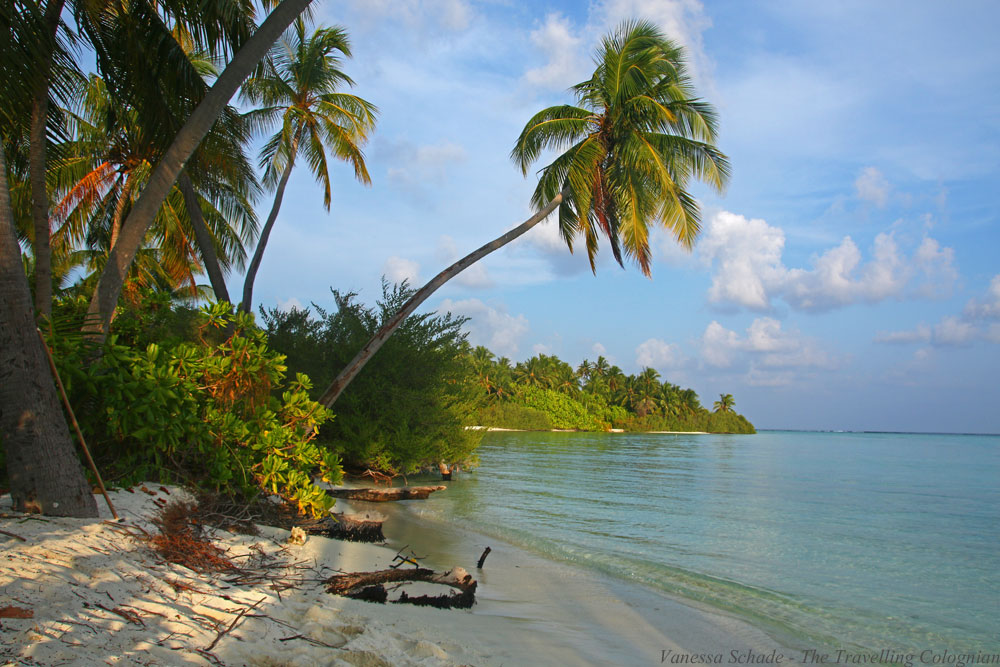 Island_Dream Beach_The Maldives
