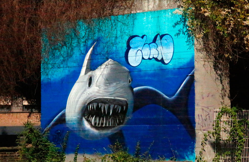 Abbildung von einem Hai als Streetart in Hamm