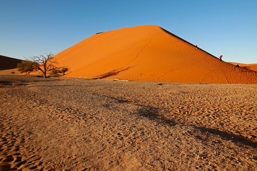 Dune 45 in the Sossusvlei area of Namibia